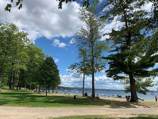 Best dog friendly trails in Burlington - Wowpetsmart