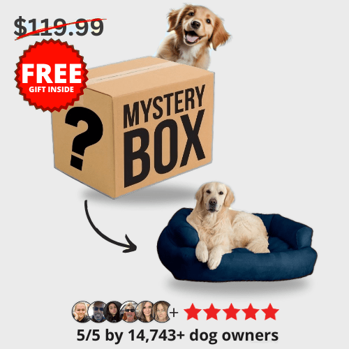 Mystery Dog Box (One Time Offer) - Wowpetsmart