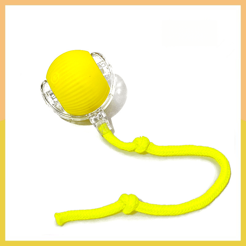 PawBot™ Smart Pet Ball – Interactive & Pet - Friendly - Wowpetsmart