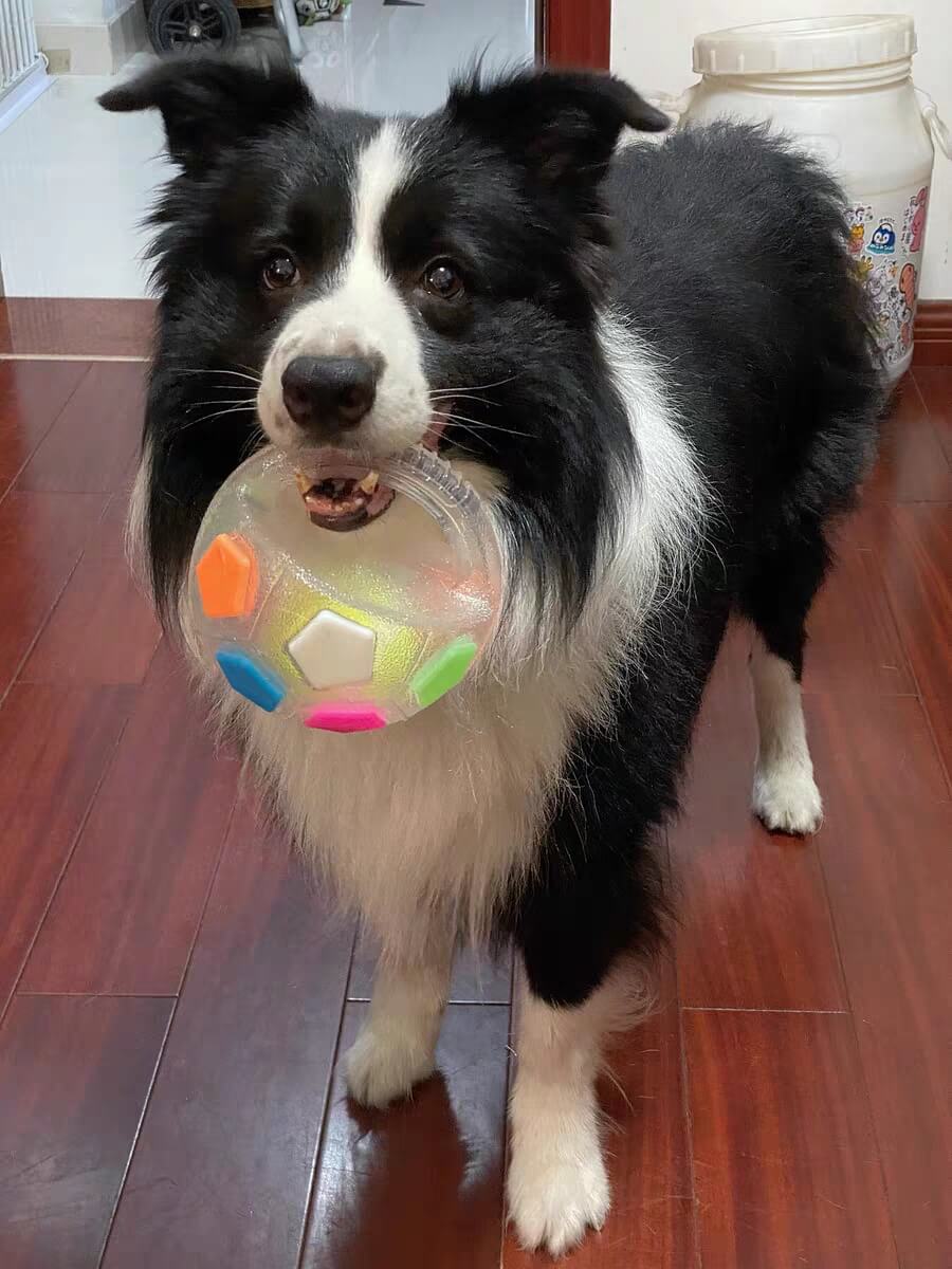 PawKick™ Durable Soccer Toy – Bouncy, Bite - Resistant & Fun - Wowpetsmart
