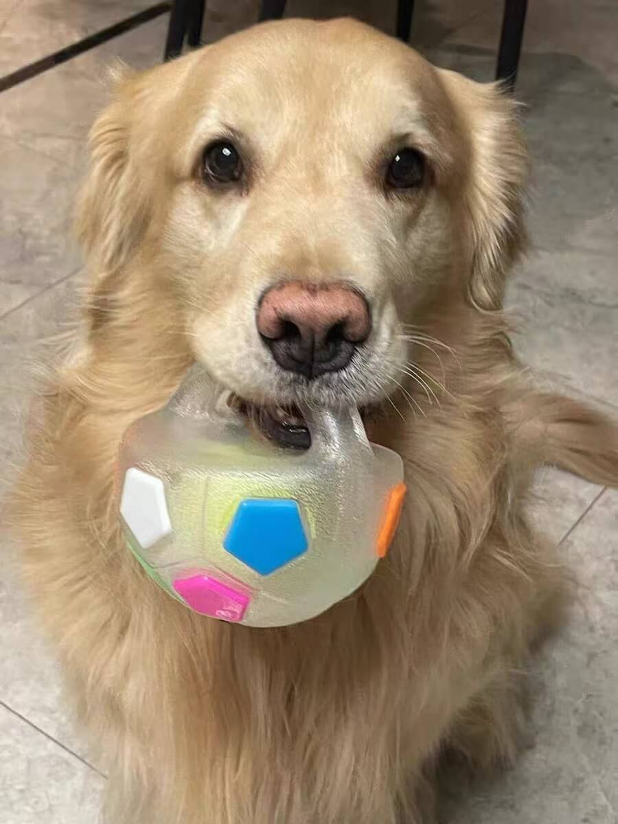 PawKick™ Durable Soccer Toy – Bouncy, Bite - Resistant & Fun - Wowpetsmart