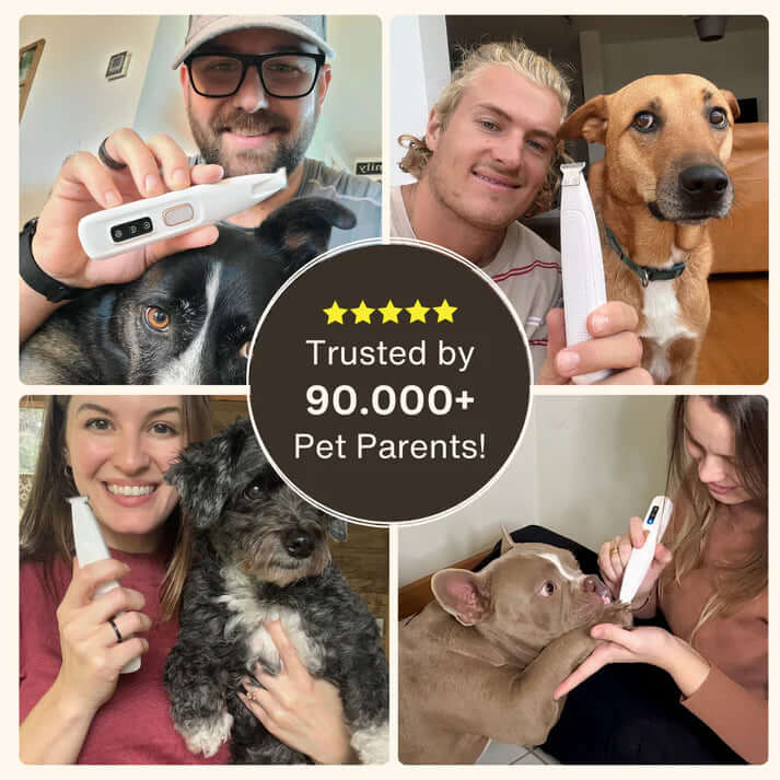 SereniTrim™ - Pet Precision Trimmer - Wowpetsmart
