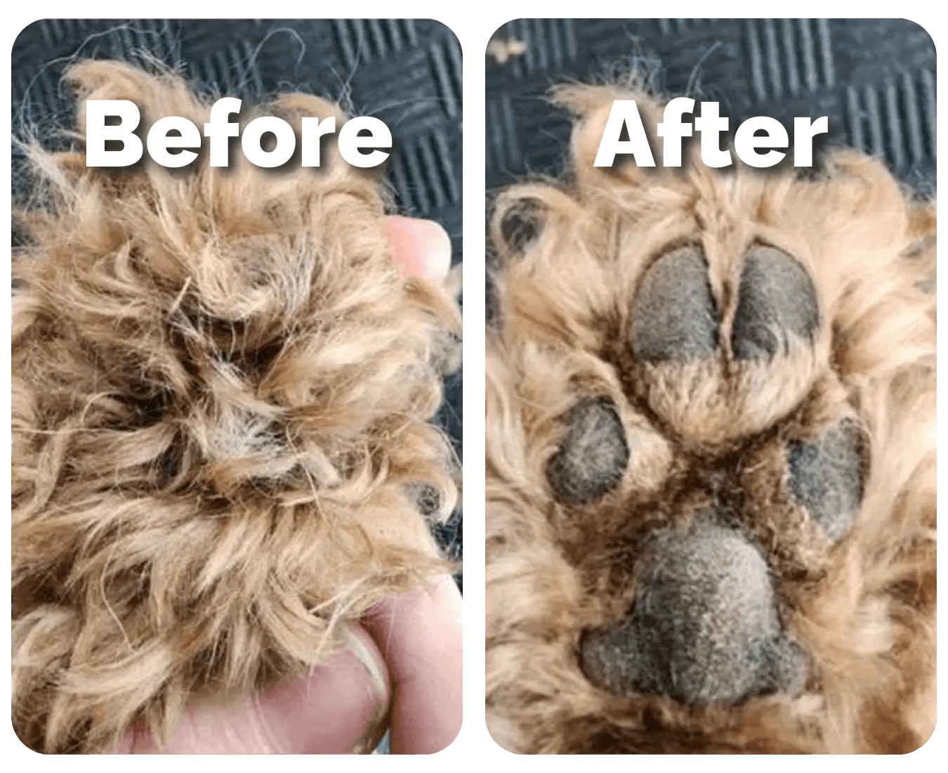 SereniTrim™ - Pet Precision Trimmer - Wowpetsmart