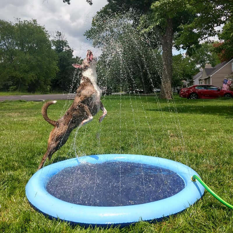 Splash Pad - Endless Doggy Summer Fun! - Wowpetsmart