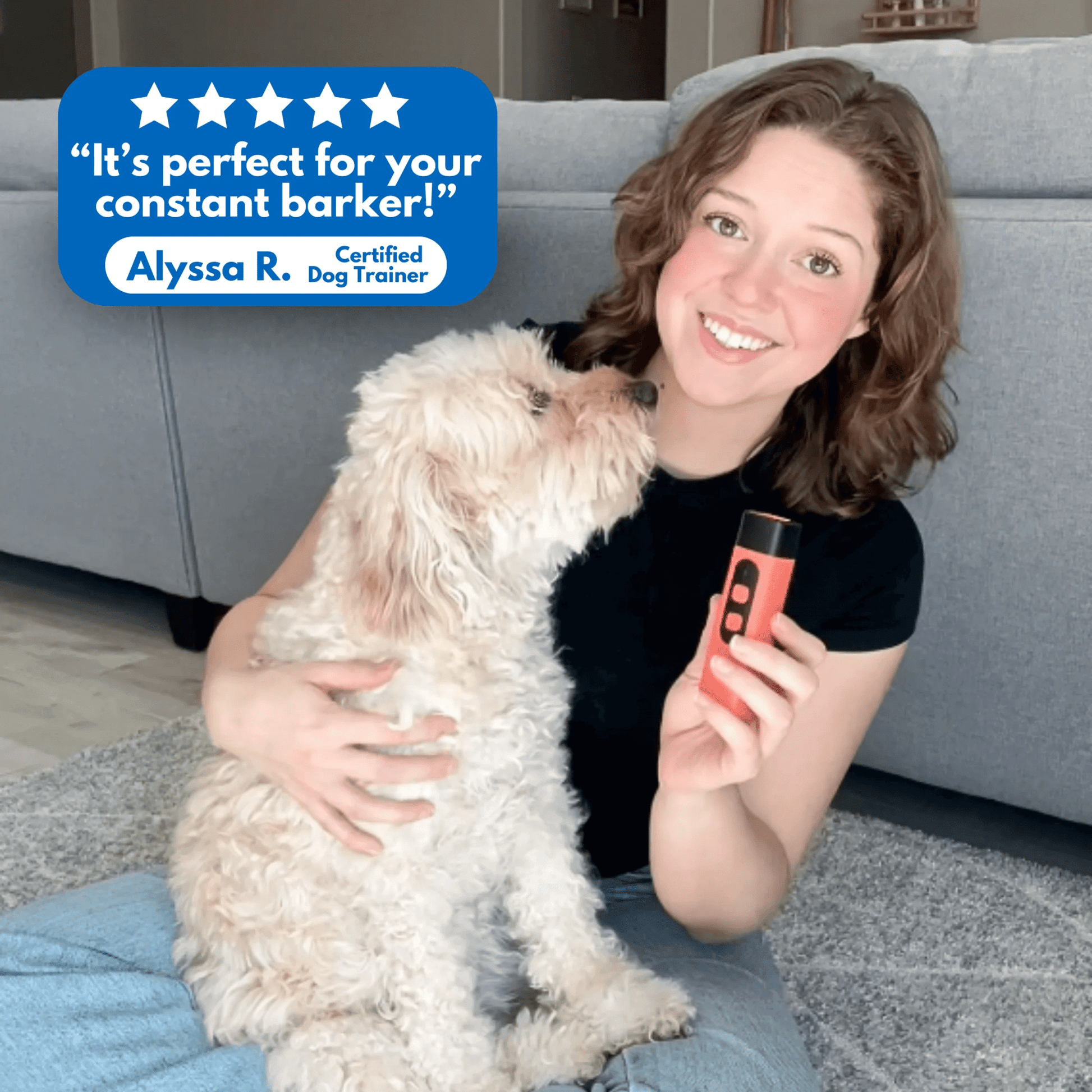Ultrasonic Dog Bark Deterrent - Wowpetsmart