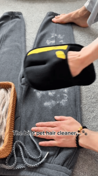 Pet hair remover Electrostatic gloves – Wowpetsmart