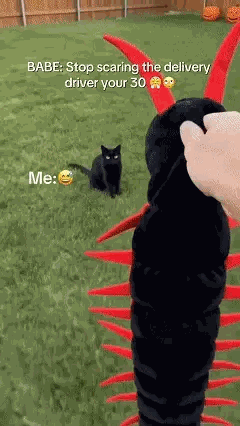 Real-life clip of the black and red centipede cat costume held up outdoors