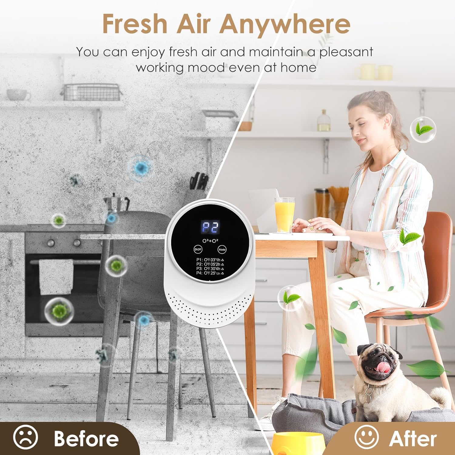 Air Purifier for Pets & Home - Wowpetsmart