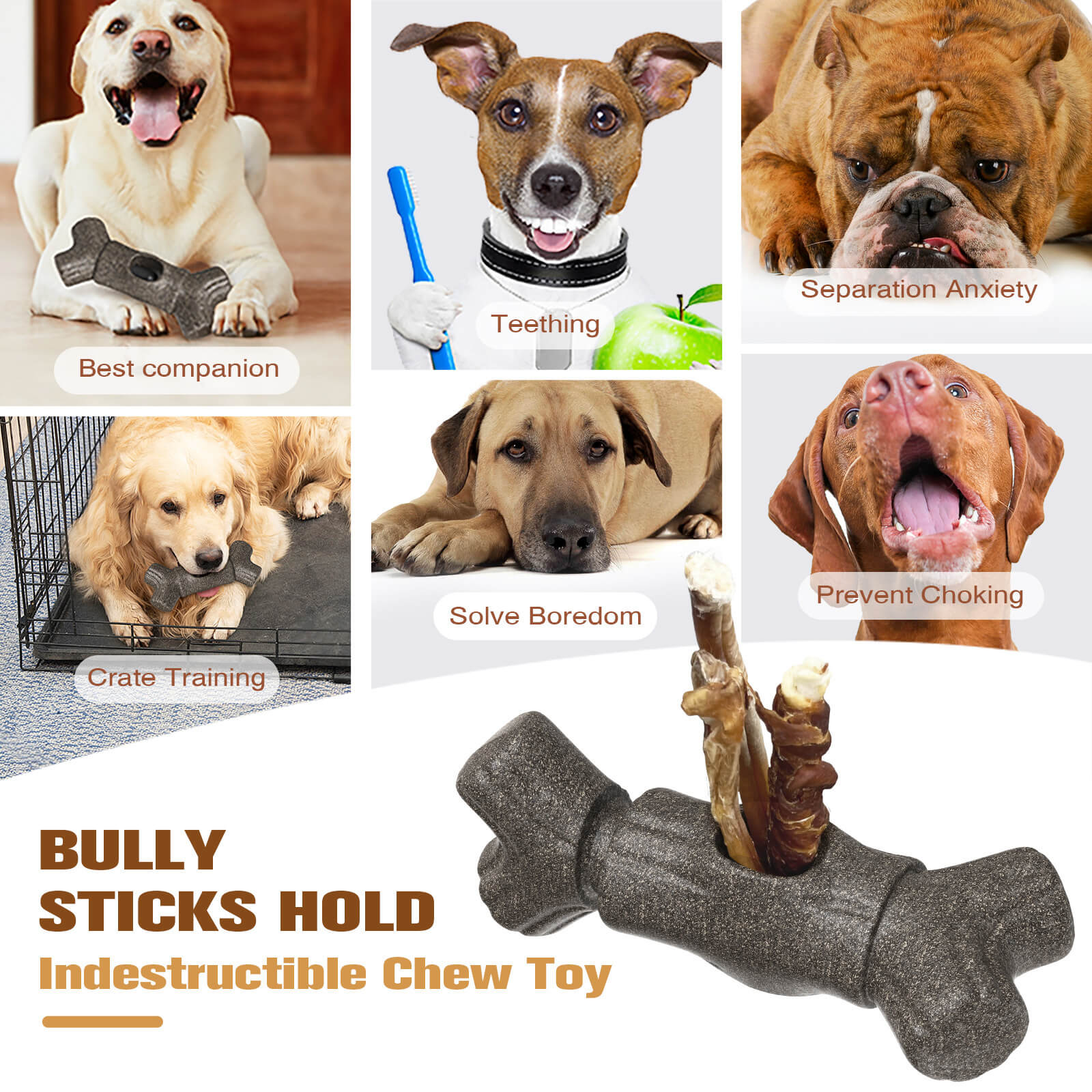 Bully Stick Holder for Dogs - Wowpetsmart