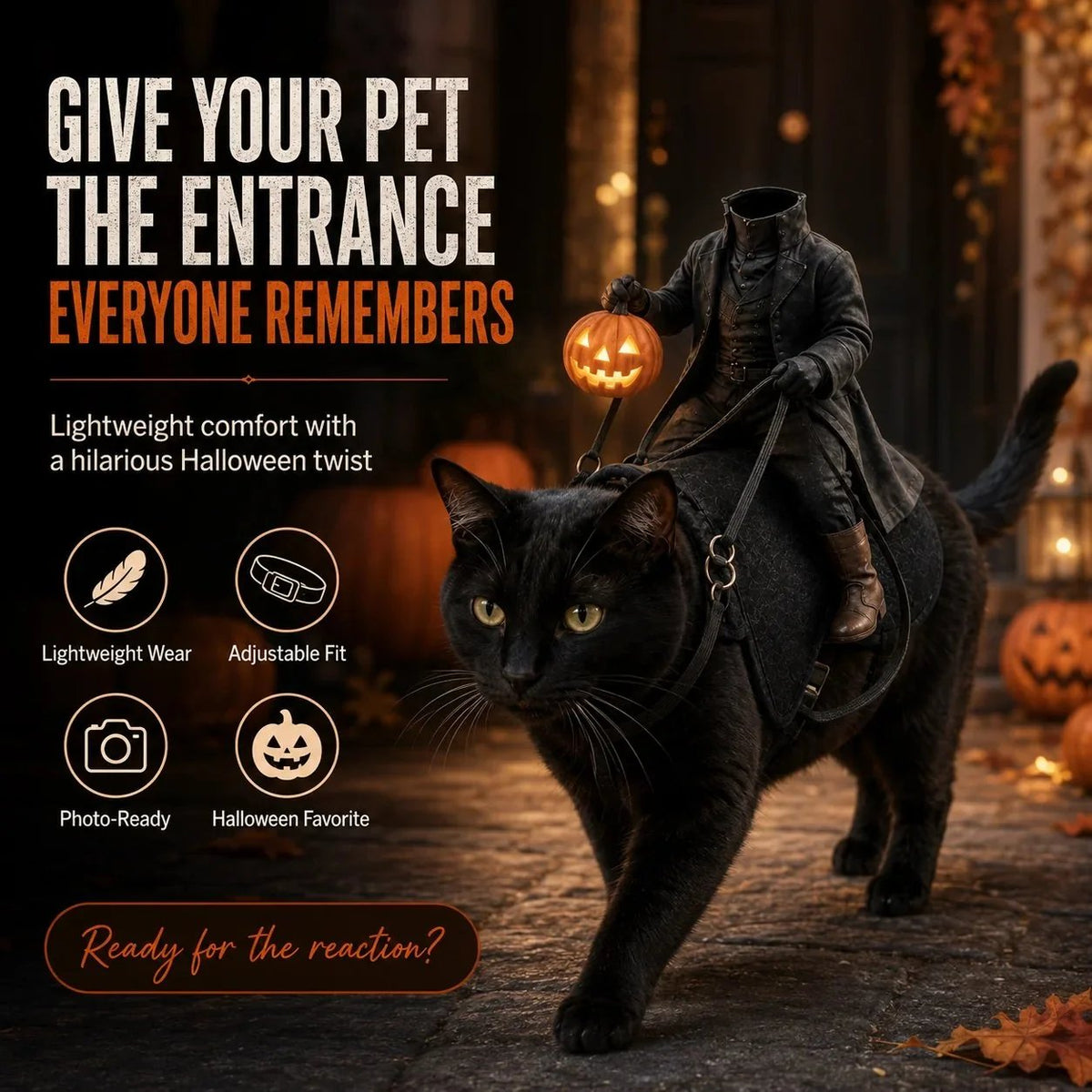 Black cat wearing the headless horseman rider Halloween pet costume at night