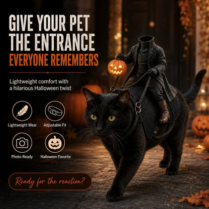 Black cat wearing the headless horseman rider Halloween pet costume at night