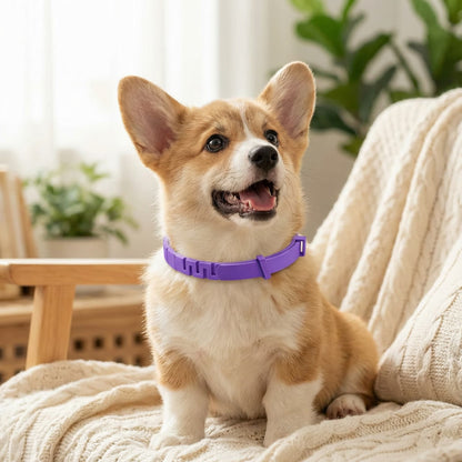 CalmHalo™ Dog Calming Collar - Wowpetsmart