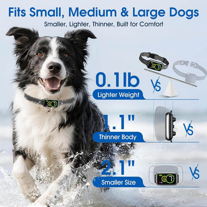 CalmiBark™ Smart Anti Bark Dog Collar – Humane No Shock Training - Wowpetsmart