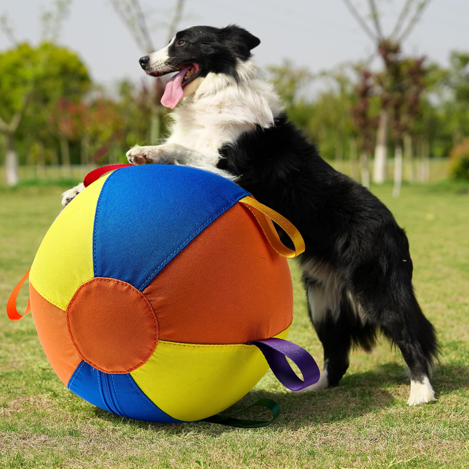 Calming Jumbo Ball for High - Energy Dogs - Wowpetsmart