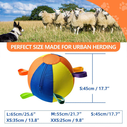 Calming Jumbo Ball for High - Energy Dogs - Wowpetsmart