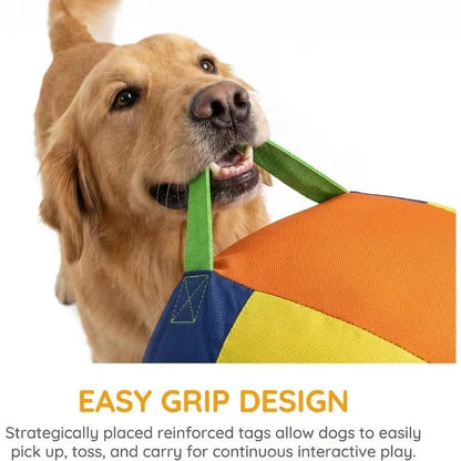 Calming Jumbo Ball for High - Energy Dogs - Wowpetsmart