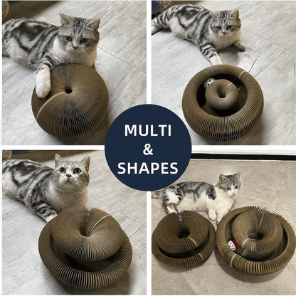 CatFold™ - Accordion Cat Scratcher Toy - Wowpetsmart