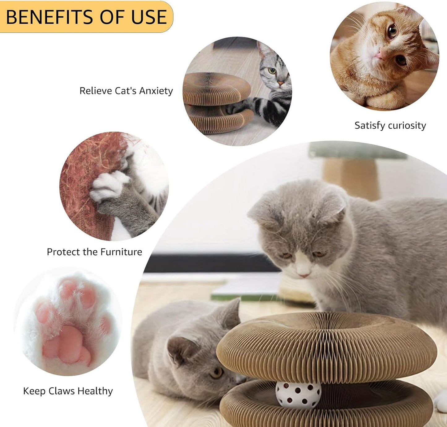 CatFold™ - Accordion Cat Scratcher Toy - Wowpetsmart
