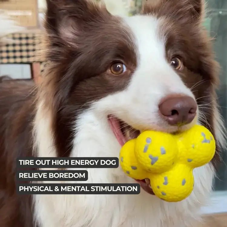 Durable Chew Ball Built for Endless Play - Wowpetsmart