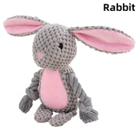 Rabbit