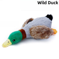 Wild Duck