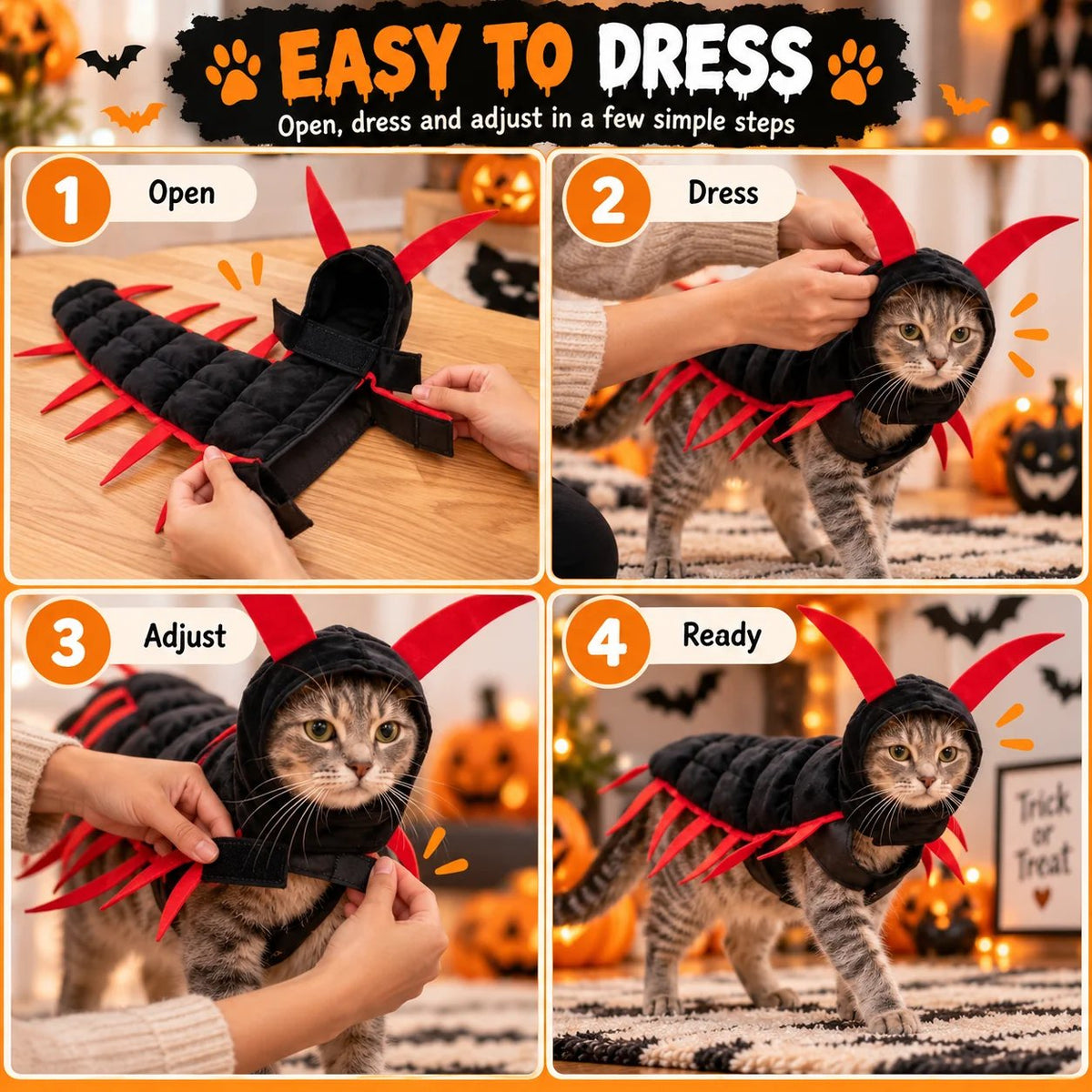 Four steps to put the hooded centipede costume on a cat
