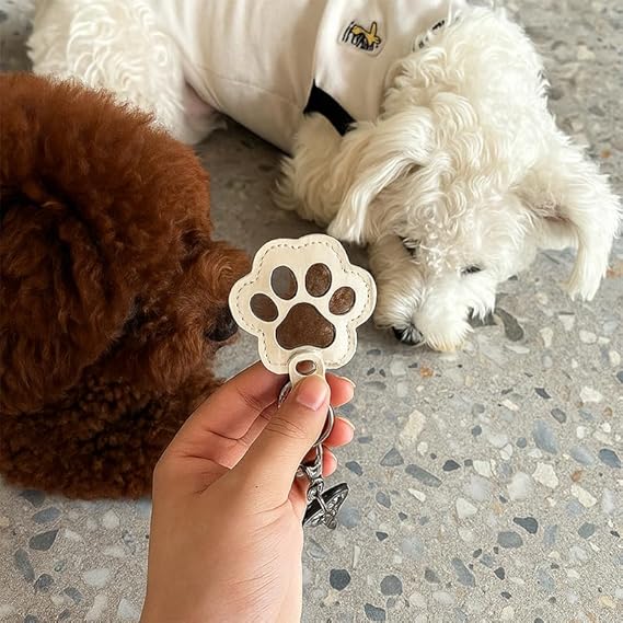 Furever Paw Print Keepsake Keychain – Hold Your Pet’s Fur Forever - Wowpetsmart