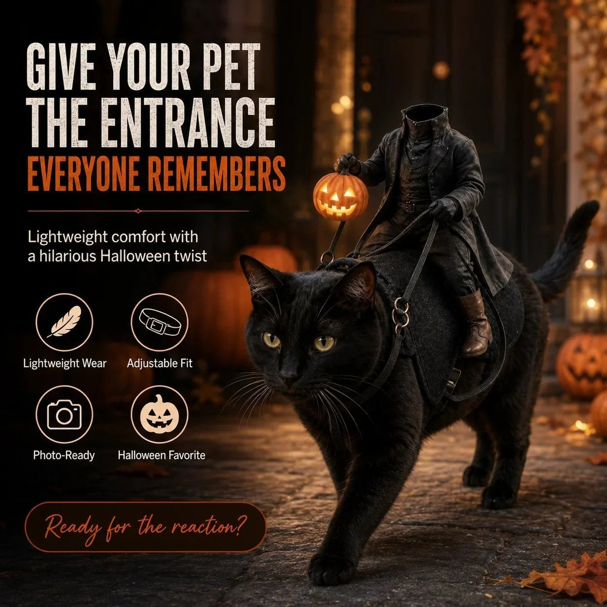 Headless Horseman Rider Pet Costume – Halloween Cat & Dog Outfit - Wowpetsmart