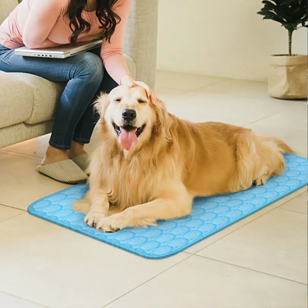 IceMat™ - Pet Cooling Mat - Wowpetsmart