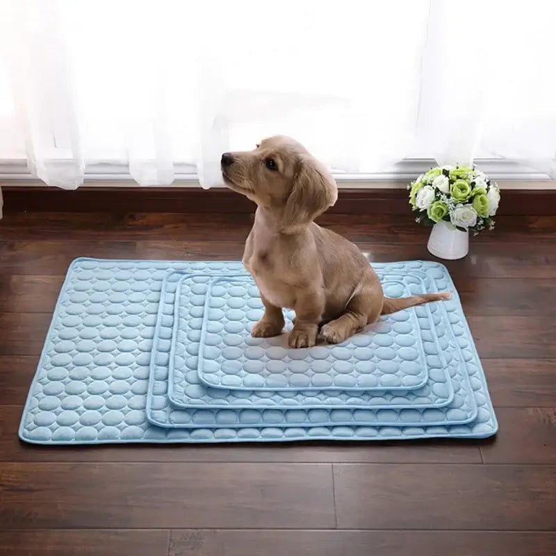 IceMat™ - Pet Cooling Mat - Wowpetsmart