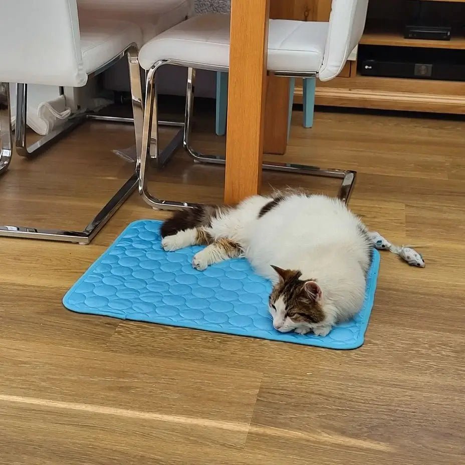 IceMat™ - Pet Cooling Mat - Wowpetsmart