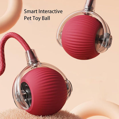 PawBot™ Smart Pet Ball – Interactive & Pet - Friendly - Wowpetsmart