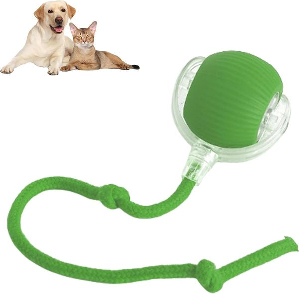 PawBot™ Smart Pet Ball – Interactive & Pet - Friendly - Wowpetsmart