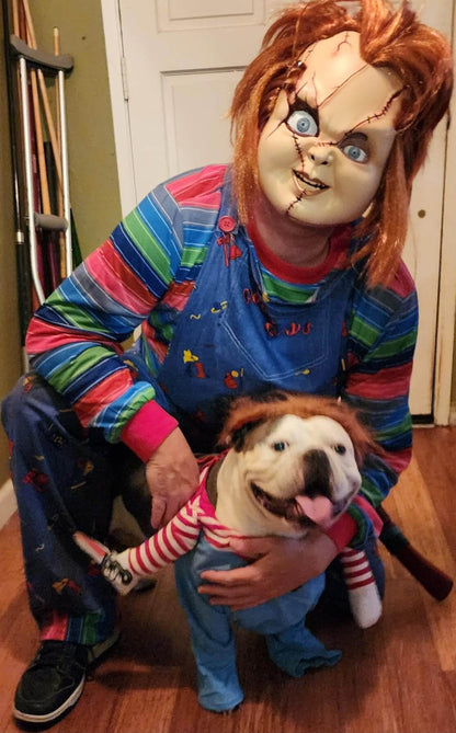 Pet Halloween Costumes - Wowpetsmart