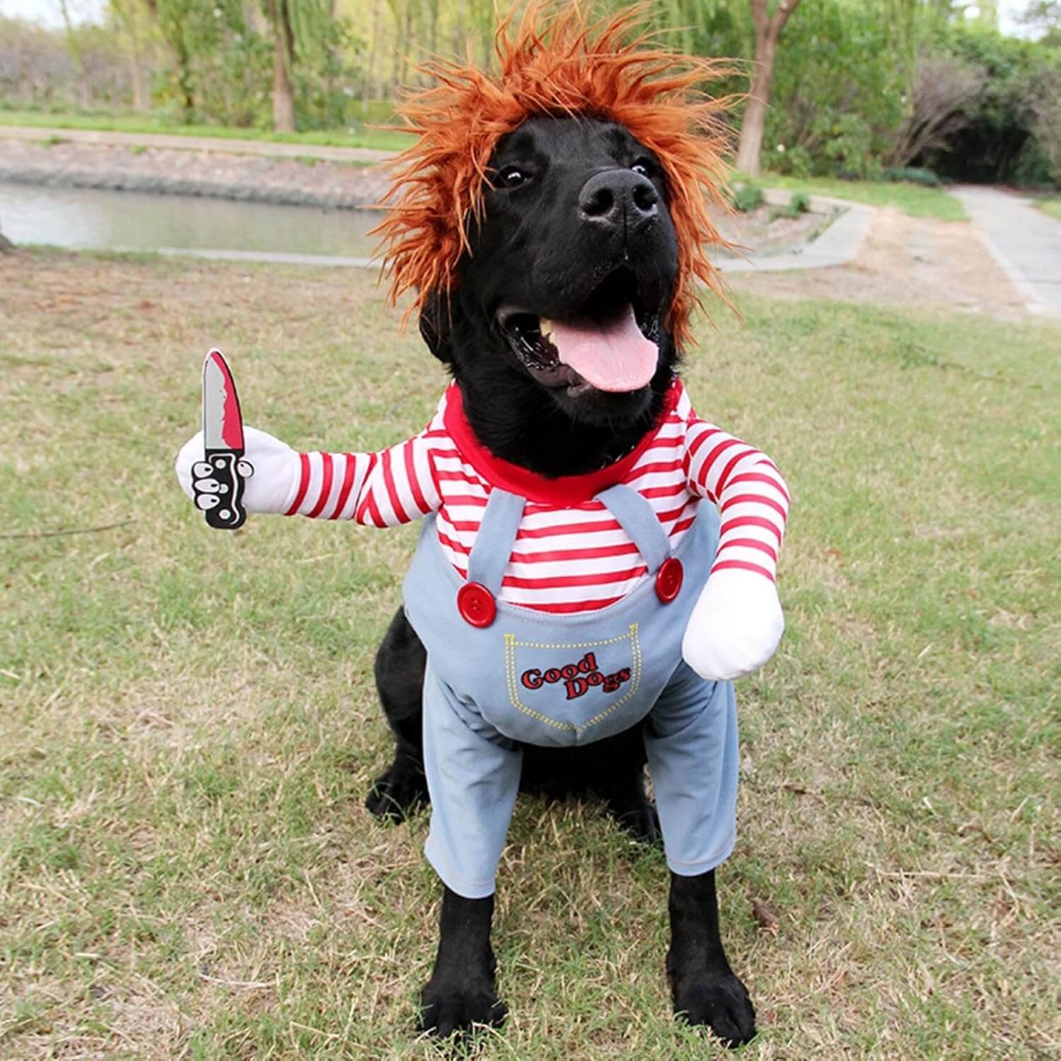 Pet Halloween Costumes - Wowpetsmart