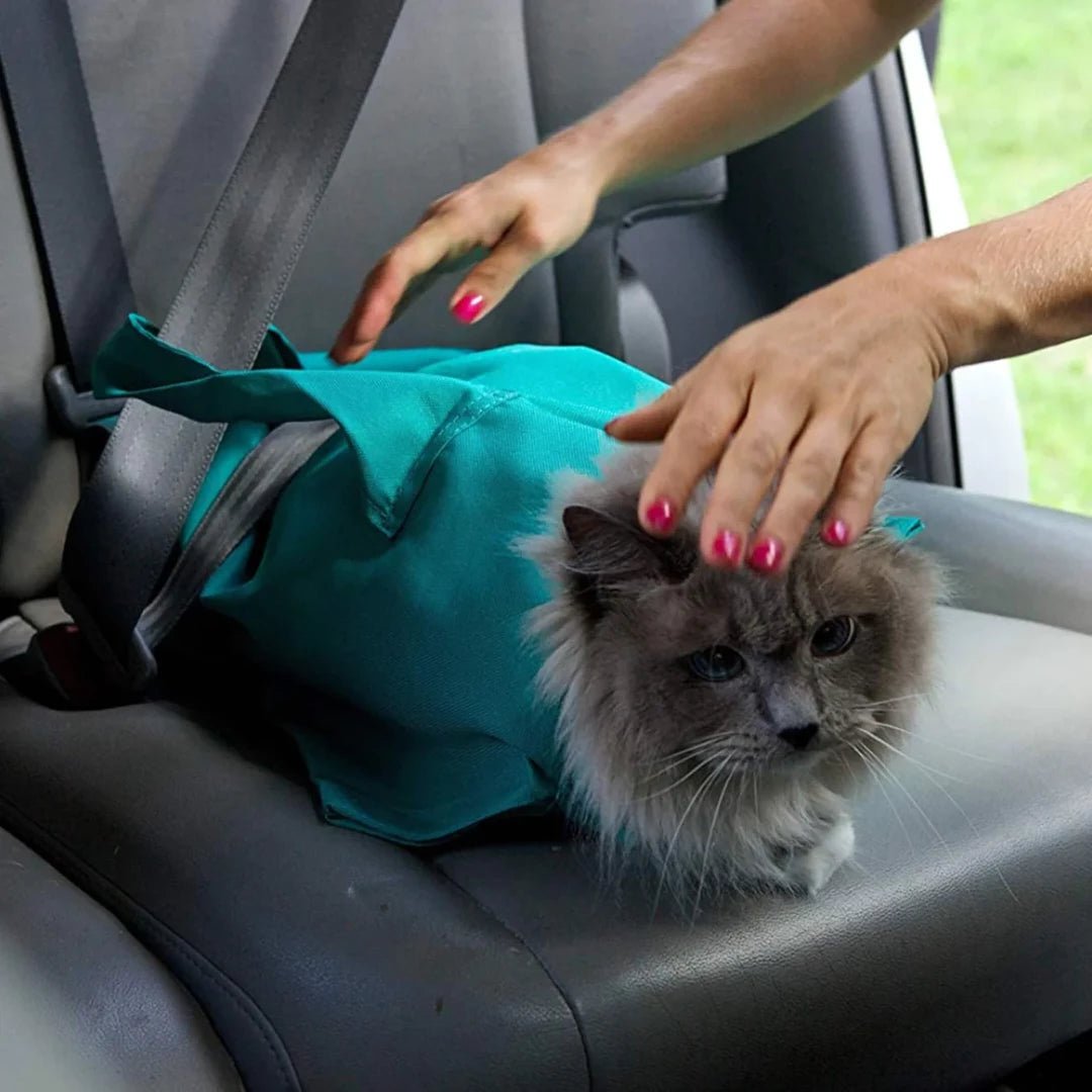 PurrTote™ - Cat Carrier Pouch - Wowpetsmart