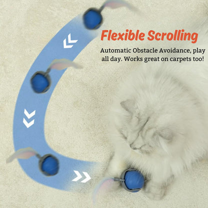 Speedy Tail 2.0 - Wowpetsmart