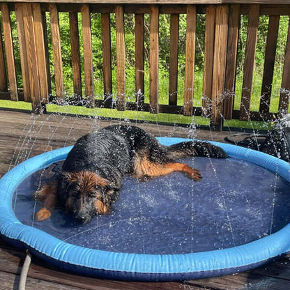 Splash Pad - Endless Doggy Summer Fun! - Wowpetsmart