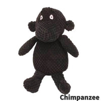 Chimpanzee