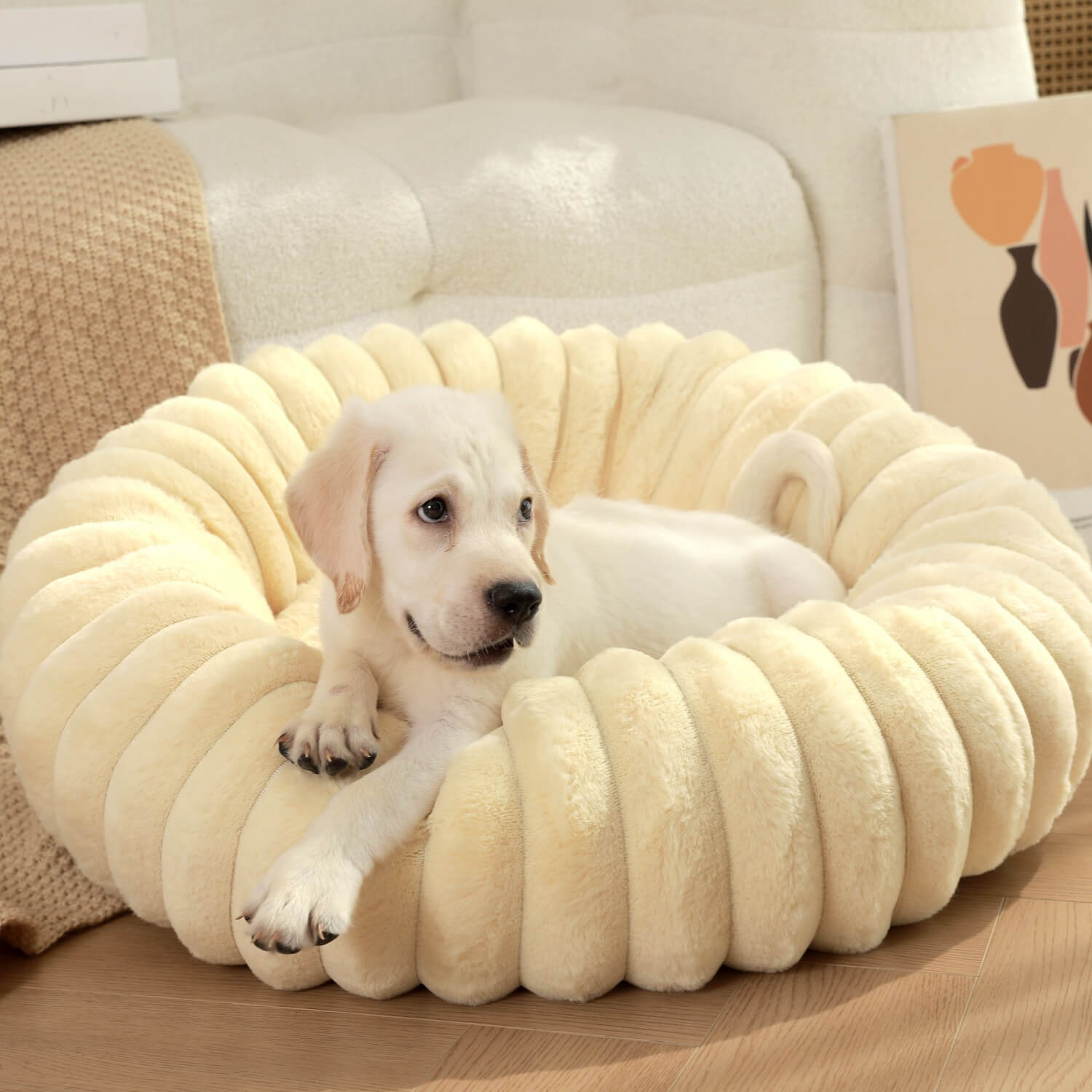 Ultra - Soft Plush Donut Pet Bed – Calming & Supportive for Deep Sleep - Wowpetsmart