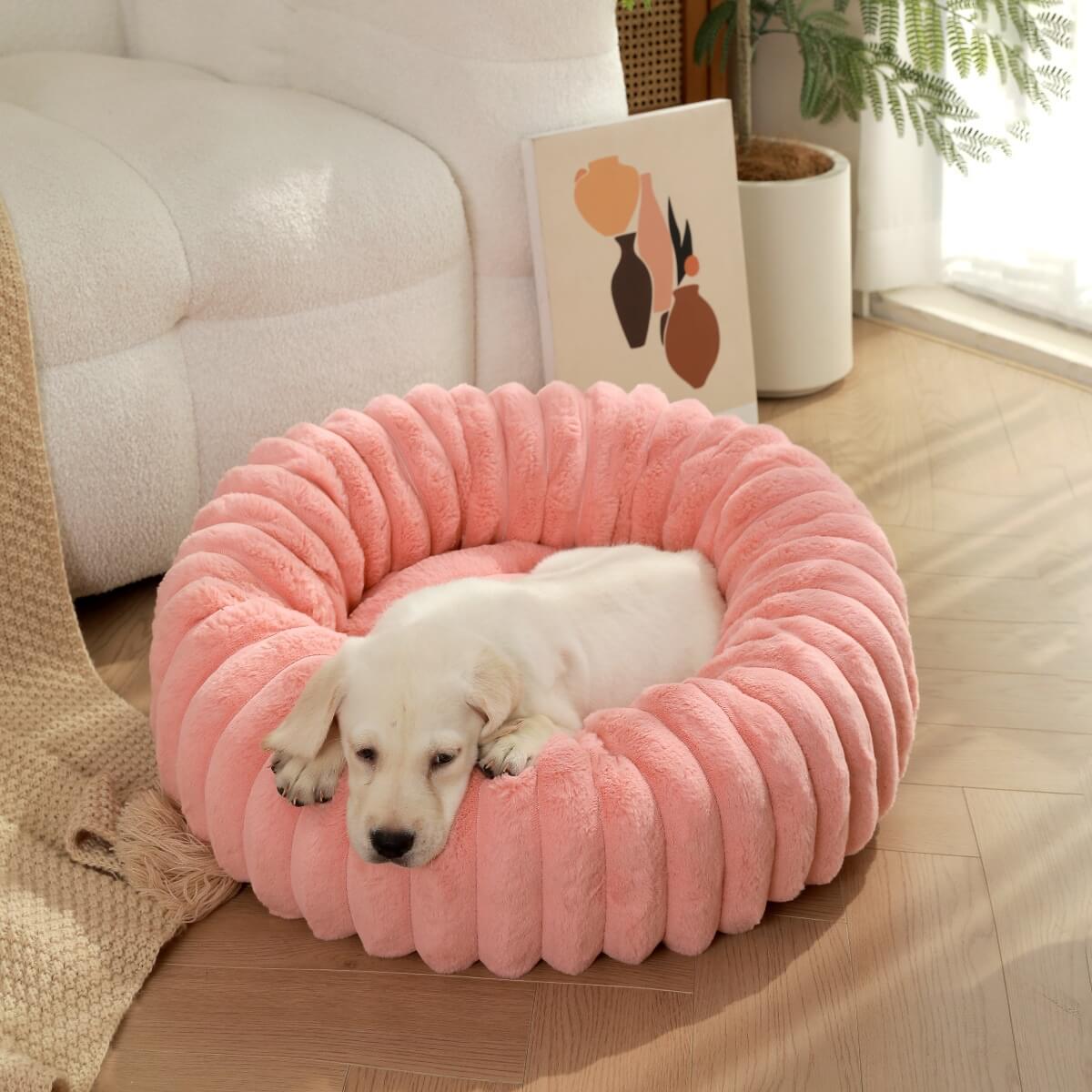 Ultra - Soft Plush Donut Pet Bed – Calming & Supportive for Deep Sleep - Wowpetsmart