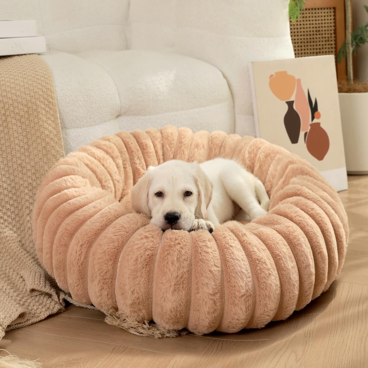 Ultra - Soft Plush Donut Pet Bed – Calming & Supportive for Deep Sleep - Wowpetsmart