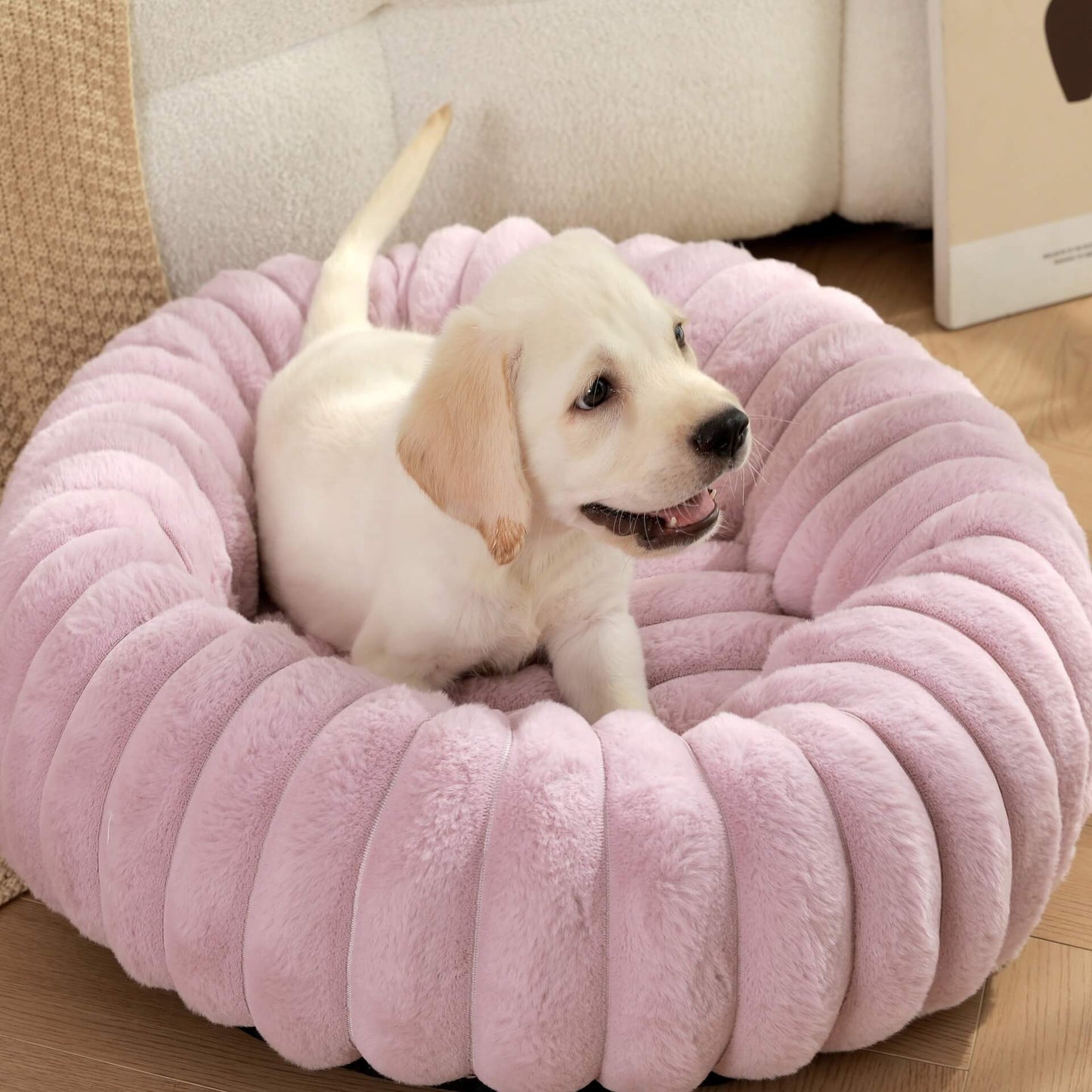 Ultra - Soft Plush Donut Pet Bed – Calming & Supportive for Deep Sleep - Wowpetsmart