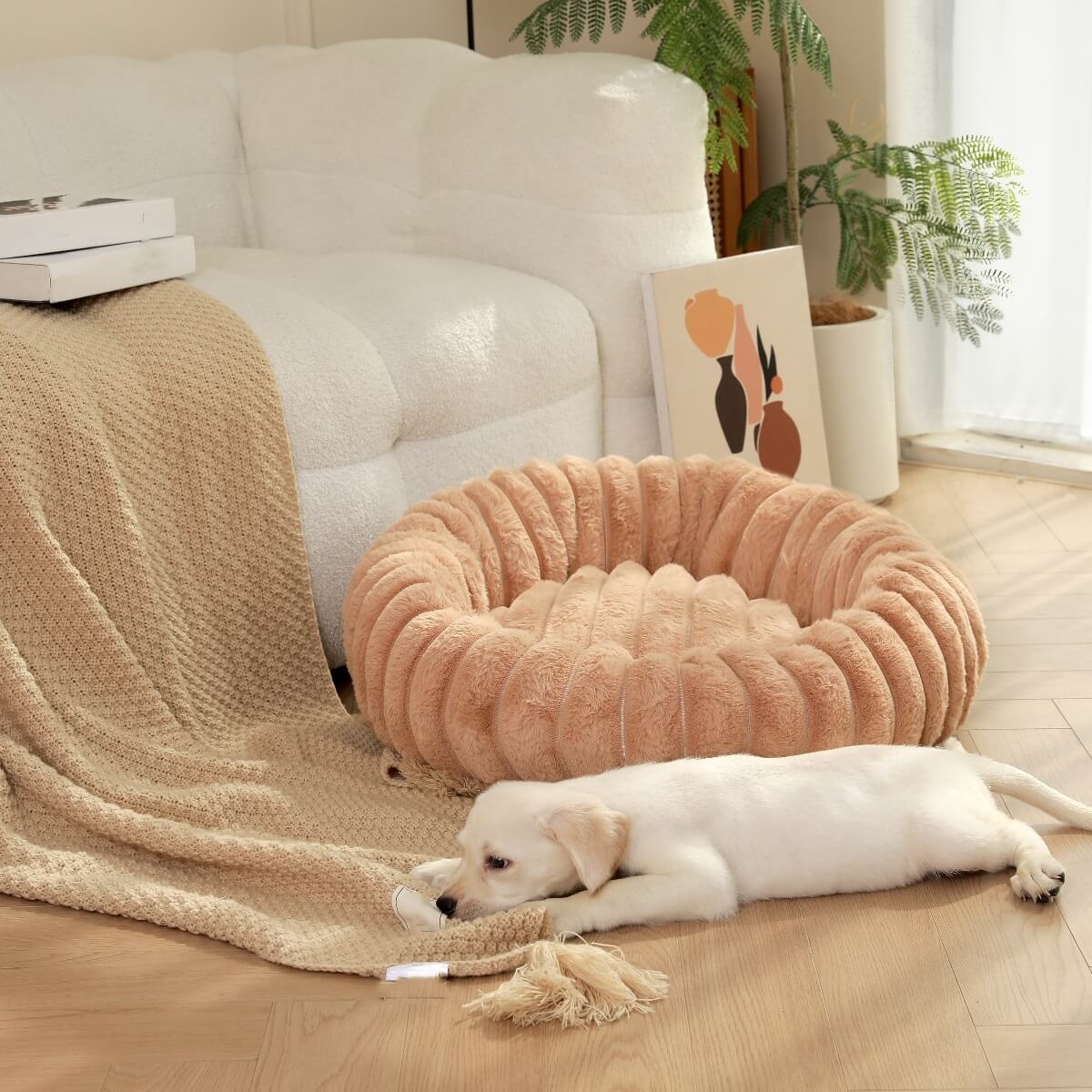 Ultra - Soft Plush Donut Pet Bed – Calming & Supportive for Deep Sleep - Wowpetsmart