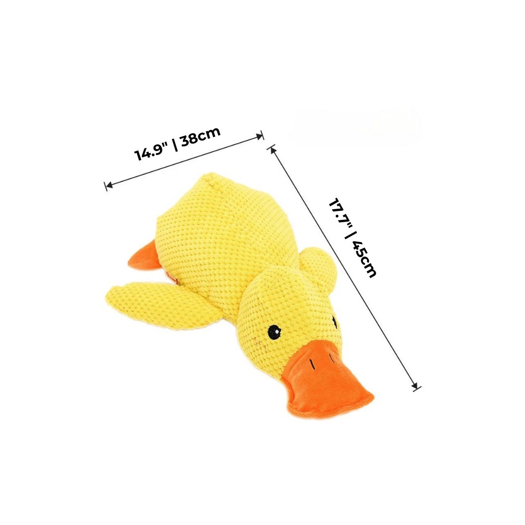 Calming Duck Toy by Wowpetsmart