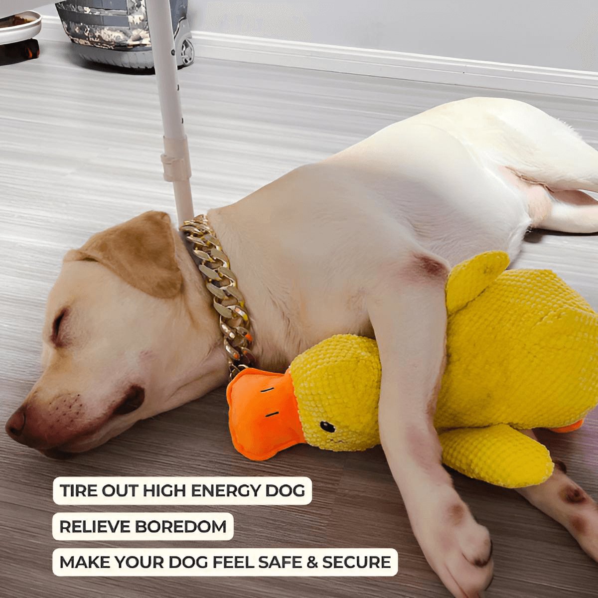 Calming Duck Toy by Wowpetsmart® - Wowpetsmart