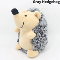 Gray Hedgehog