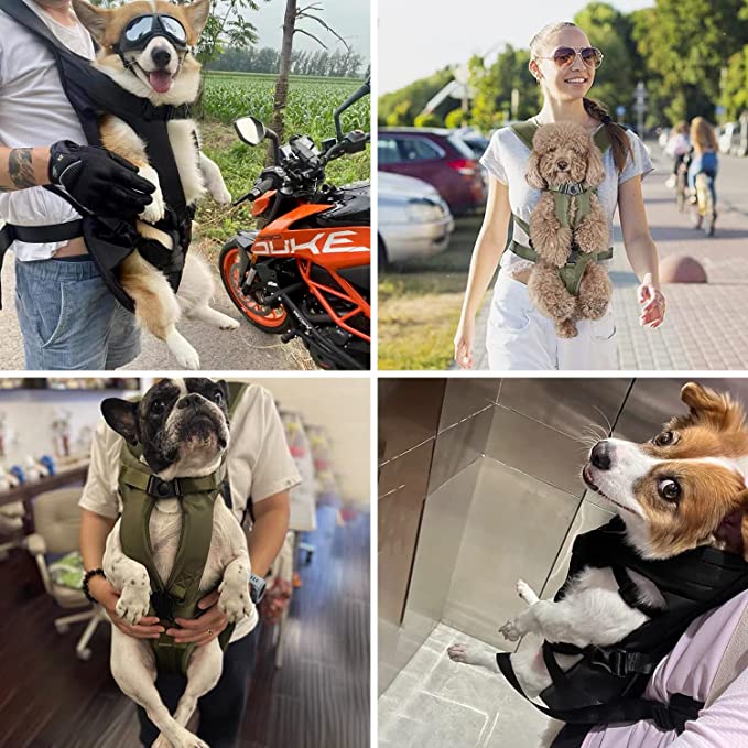 Dog Carrier Backpack - Wowpetsmart