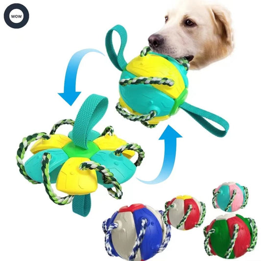 Interactive Flying Disc Ball Dog Toy - Wowpetsmart