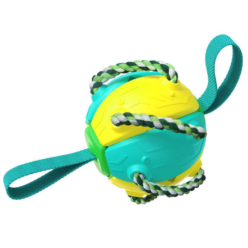 Interactive Flying Disc Dog Toy - Wowpetsmart